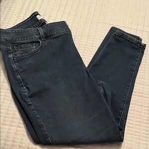 Lane Bryant Deep Indigo Skinny Jeans